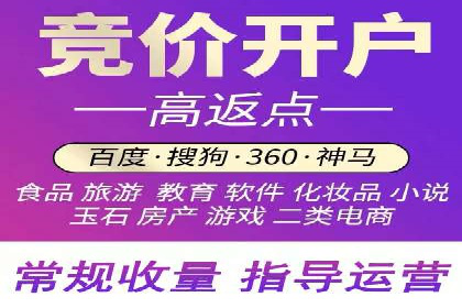 百度竞价广告投放成功案例解析